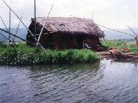 Floating house on the Loktak Lake - click to enlarge...